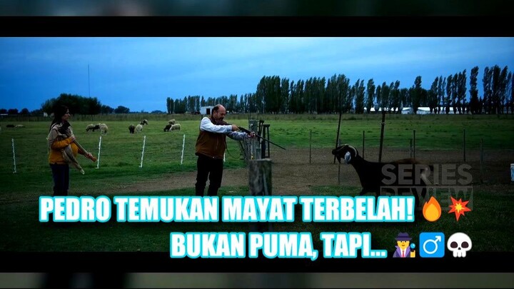 Awal Mula Misteri Kota Kecil Yang Kejam
