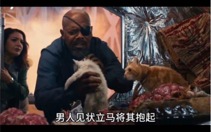 A Group of Kittens Saves the Humans on a Spaceship