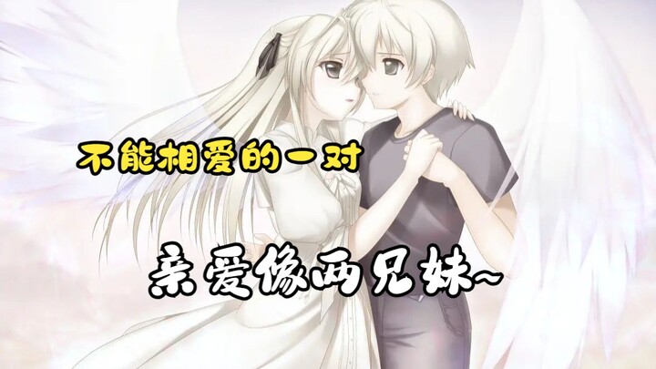 不能相爱的一对，亲爱像两兄妹~