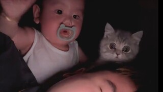 Chống thú cưng cho bé 2