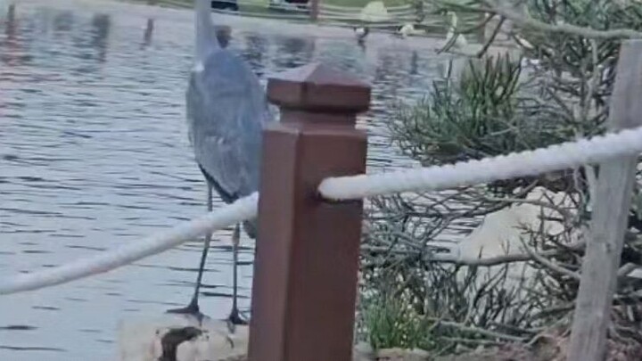 Doha Qatar #dohaqatar