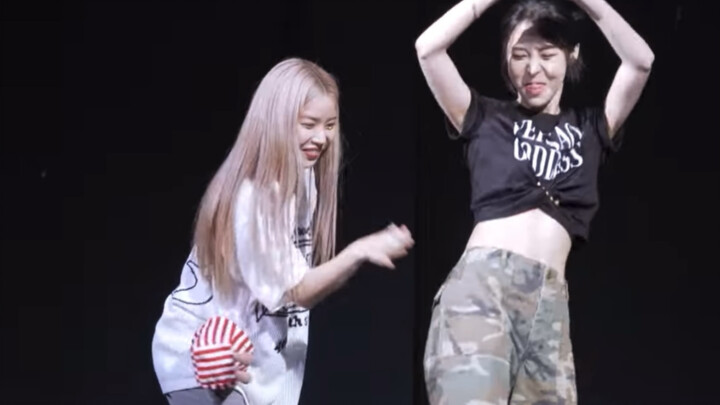 【Mamamoo+】把接力舞蹈跳成part互换的容蜜星蜜 | 230805签售《dang dang》