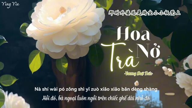 Song: Hoa Trà Nở Rồi - Vương Duệ Trác