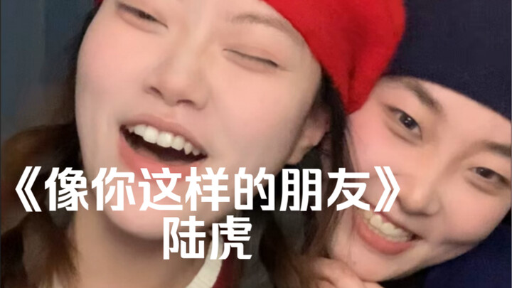 “How lucky to have a friend like you” | Cover of “A Friend Like You” by Lu Hu