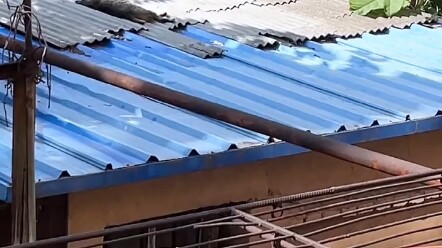 “As long as you’re willing, you can sleep in my bed anytime… It was the first stray I ever fed…”