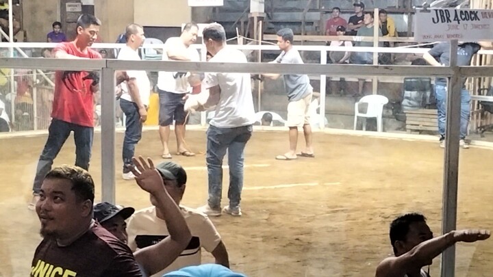 DIPOLOG cockpit arena 4 cock derby ( third fight) win👌