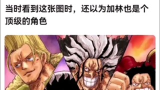 当时看到这张图时，还以为加林也是个顶级的角色。海贼王！