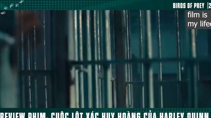 harley quinn 1 mình cân hết p2 #filmismylifeeee