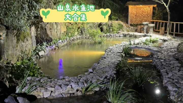 Thanks to all the fans for your suggestions—I built a spring-fed fish pond and ended up gaining so m