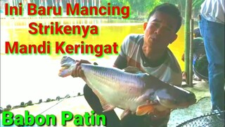 Mancing Patin JUMBO - Tarikannya Mandi Keringat