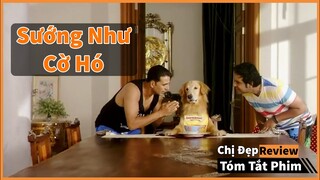 Sướng như "Cờ Hó" là có thật | tóm tắt phim: Entertainment