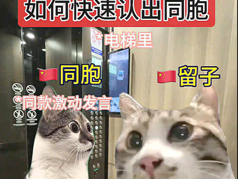 ليو تسي: كيف وجدت المنظمة بسرعة