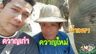 มาเที่ยวหาน้ำเพชร