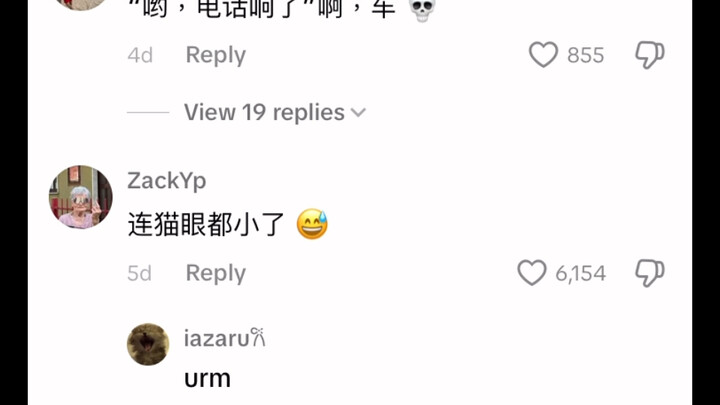 On TikTok, a cute Chinese kitten was teased in the comments for having eyes as small as those of Chi