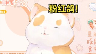 笨笨大大呱是怎么准备生日会的？（粉红鸽！） 【花玲片】