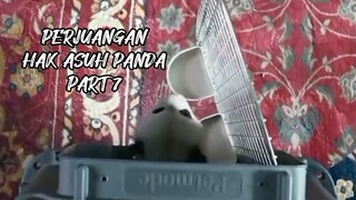 PERJUANGAN HAK ASUH PANDA PART 7