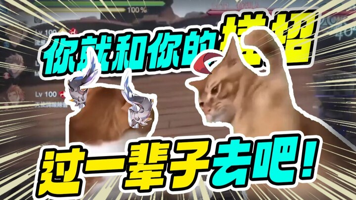 【Telah ditambahkan meme kucing】Bersamalah selamanya dengan jurus kombinasi milikmu!