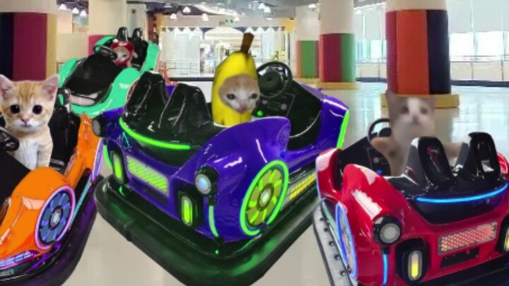 Banana Cat went bumper cars with his friends, but he still ended up crying.