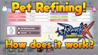 New Pet Refine System Added, This is How It Works [ROX]