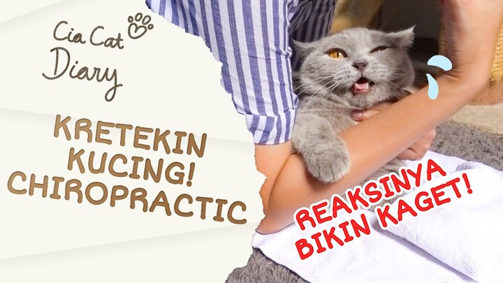 KRETEK ABAL2 BANGET - Cia Kucing Dikretekin BUNYI NGGA SANTAI! Ngikutin Om Beemz Aryo  Cia Cat Diary