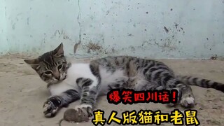 Dialek Sichuan: Tom and Jerry versi kehidupan nyata membuat lelucon, dan tertawa saat Tom Cat memame