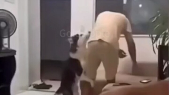 ไม่มีเวลาอธิบายแล้ว ต่อไปคือโลกของเอ็มซี