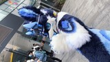 【Beast Costume】 Tail