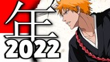 Bleach Anime 2022 Date?!