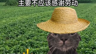 When farmers hear "labor shouldn't be thanked" after a hard day's work