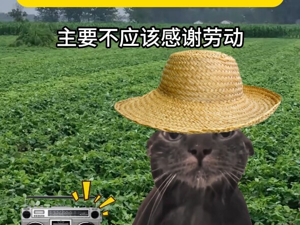 Khi bác nông dân vất vả cả ngày nghe thấy câu "Không nên cảm ơn lao động"