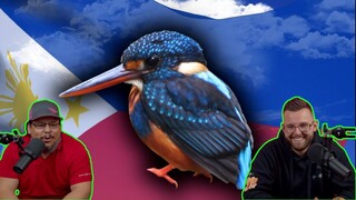 Americans React To Wild Birds of the Philippines | Why is EVERYTHING Beautiful in the Philippines?