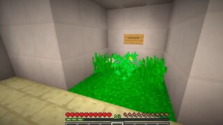 SAMMY VÀ PHONG CẬN THỬ THÁCH 24H RƠI TỰ DO 1000 MÉT TRONG LÀNG HERO TEAM MINECRA