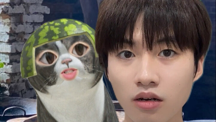 After the city cat returned to the village, it turned into a totally useless kitty.