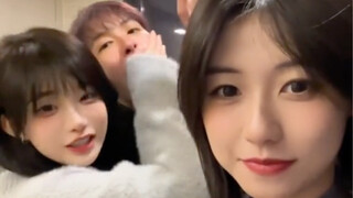 Today's Cuisine: "Pork, Sauerkraut, and Blood Sausage Stew" #FoodRecommendationOfficer