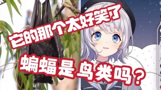 下头IuIu看到蝙蝠的那个 笑出鸡鸣【雫るる】