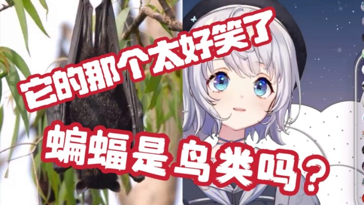 下头IuIu看到蝙蝠的那个 笑出鸡鸣【雫るる】