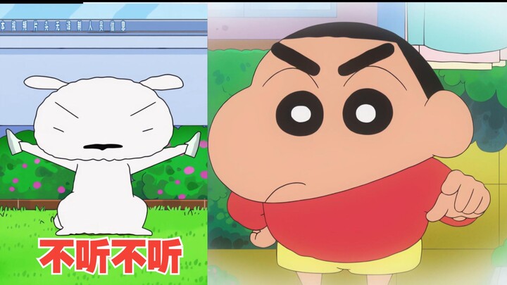 蜡笔小新新番2025 5月17 弄干室内鞋，白神天天操不完的心！