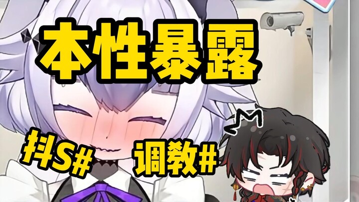 ⚡S 属 性 大 爆 发 ⚡