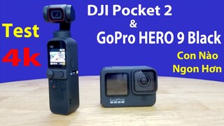 DJI Pocket 2 - GoPro HERO 9 Black con nào đáng mua hơn