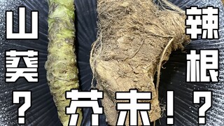 What is the wasabi we often eat in daily life?