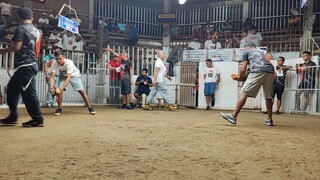 Our Harold Brown Grey