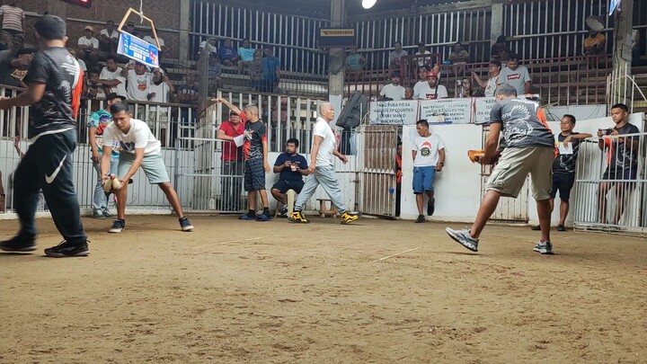 Our Harold Brown Grey