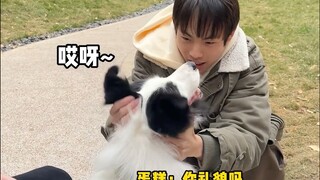 Beberapa tipe orang lewat yang sering ditemui pemilik anjing