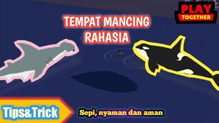 Auto Paus, Tempat Mancing Rahasia Sepi, Nyaman dan Aman - Play Together Indonesia