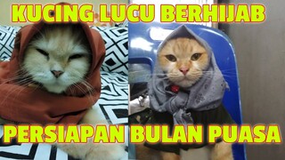 KUCING LUCU BERHIJAB UNTUK PERSIAPAN PUASA