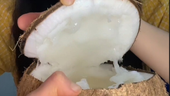 The Noble Among Coconuts | Honey Glutinous Rice Coconut vs. Condensed Milk and Sago Glutinous Rice C