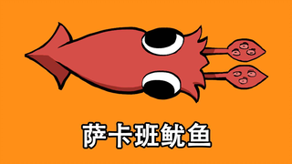 萨卡班鱿鱼