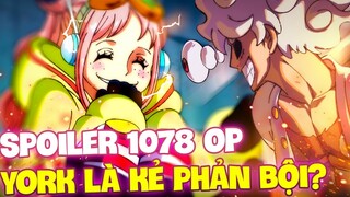 SPOILER 1078 OP | YORK CHÍNH LÀ KẺ PHẢN BỘI?!