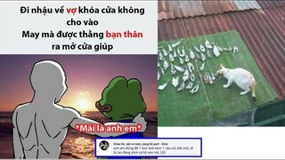 Mãi mãi là người anh em tốt🦏 - Top comment hài hước Face Book (p207)