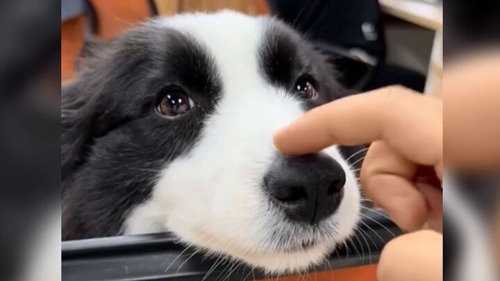 Aren’t we all just little cuties!?